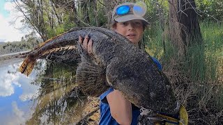 SAND FLAT FISHING FOR HUGE FLATHEAD [upl. by Odnamla]