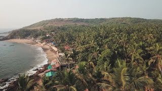 Indian state of Goa continues to attract dreamers from around the world • FRANCE 24 English [upl. by Modestine]