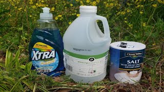 Natural Homemade Weed Killer Recipe Tested by Lawn Care Pro [upl. by Sivia490]