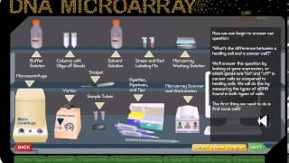 DNA microarray [upl. by Farlay93]