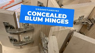 All the main Blum hinge types explained [upl. by Reinaldo519]