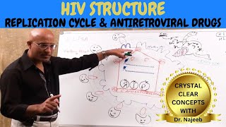 HIV AIDS  Sign Symptoms Transmission amp Treatment  Dr Najeeb🩺 [upl. by Neerbas]