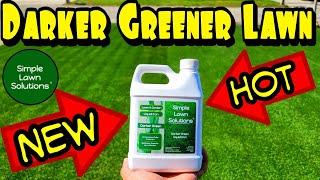 Simple Lawn Solutions New Darker Green Iron  Best Liquid Iron [upl. by Yasmine]