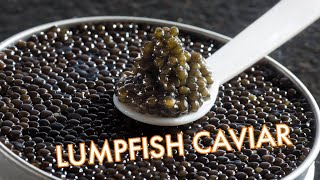 How Caviar is Made  Ingenious Lump Fish Harvesting and Processing Technology at Another Level [upl. by Ecylahs]