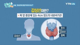 갑상선 호르몬제 한번 먹기 시작하면 평생 먹어야 한다  YTN 라이프 [upl. by Ledif773]