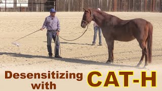 Desensitizing Using CATH [upl. by Tavy]