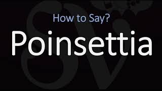 How to Pronounce Poinsettia CORRECTLY [upl. by Dayir456]