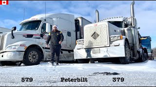 How To Become TRUCK DRIVER In CANADA  Easy Or Difficult  Q amp A [upl. by Danit]