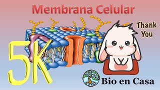 TODO sobre Membrana celular [upl. by Ahsuat]