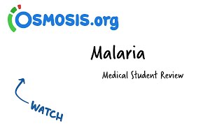 Malaria  Osmosis Study Video [upl. by Anuahsar36]