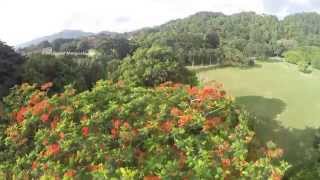 Garden University of Sri Lanka  The University of Peradeniya [upl. by Zildjian694]