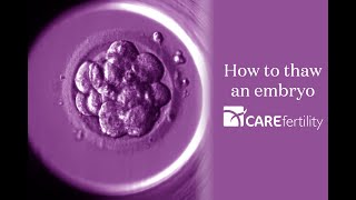 Thawing an embryo in the lab  Care Fertility [upl. by Ayhtak851]