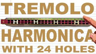 How to Play a Tremolo Harmonica with 24 Holes [upl. by Eelik]