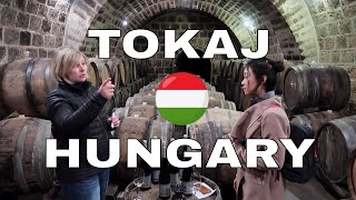 Tasting Hungarian Wine in Tokaj Hungary [upl. by Geiger]