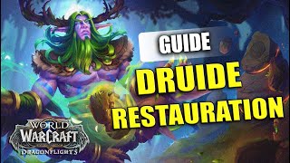 Guide Complet Druide Heal Dragonflight [upl. by Ysak885]