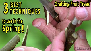 Grafting Fruit Trees  The 3 BEST Grafting Techniques for SPRING [upl. by Meill]