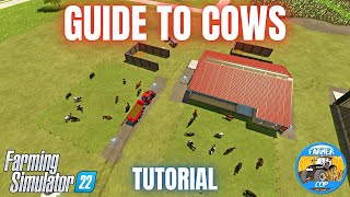 GUIDE TO COWS  Farming Simulator 22 [upl. by Ignacius489]