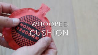 Whoopee cushion [upl. by Ifill505]