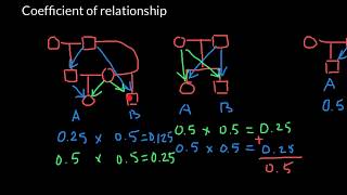 How to Find Coefficient Of Relationship [upl. by Squires]