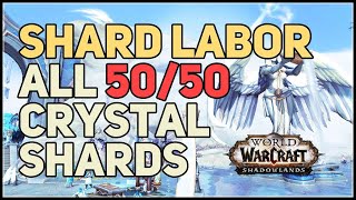 Shard Labor WoW All Anima Crystal Shards [upl. by Greenwell]