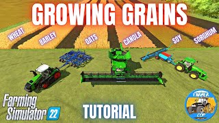 HOW TO GROW GRAINS  Farming Simulator 22 [upl. by Danell117]