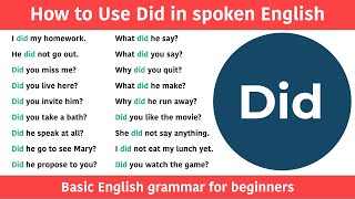 Correct use of Did in English  How to Use Did in English grammar  English Speaking Practice [upl. by Revert]