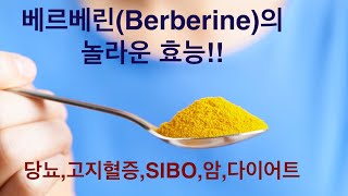 베르베린Berberine이란 놀라운 효능에 대하여 [upl. by Llerrac23]