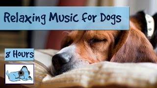 OVER 8 HOURS of Relaxing Music for Dogs and Puppies Calm Down Stressed or Anxious Dogs and Puppies [upl. by Ecille]