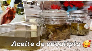 Como hacer aceite de eucalipto [upl. by Cordy]