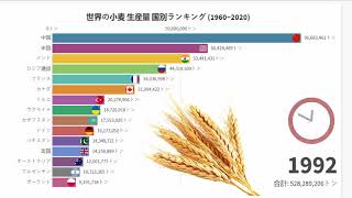 小麦 生産 量 ランキング 世界 19602020 [upl. by Aneetsirhc234]