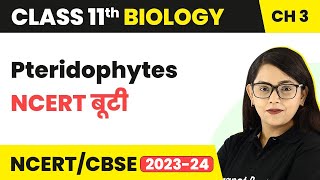 Pteridophytes  NCERT बूटी  Plant Kingdom  Class 11 Biology Chapter 3  NCERTCBSE [upl. by Nnahs]