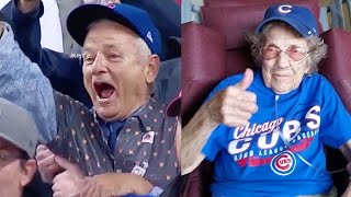 Best Cubs World Series Win Fan amp Celebrity Reactions [upl. by Ingeberg91]