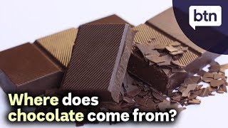 Where Does Chocolate Come From [upl. by Knipe]