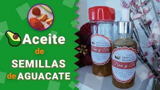 Cómo hacer🥑 ACEITE de SEMILLA de AGUACATE 🥑 [upl. by Kelwen512]