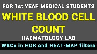 WHITE BLOOD CELL COUNT  HAEMATOLOGY LAB  BLOOD PHYSIOLOGY PRACTICAL [upl. by Notsahc567]