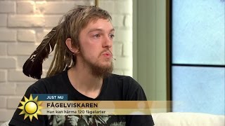 Han kan härma 120 fågelarter  Nyhetsmorgon TV4 [upl. by Nalim]