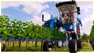 Building A Grape Vineyard From Scratch  Vineyard Farming amp Grape Processing  Farming Simulator 22 [upl. by Audrie]