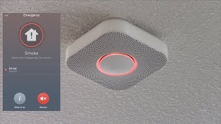 Testing the Nest Protect Smoke Alarm with Fire [upl. by Niehaus500]