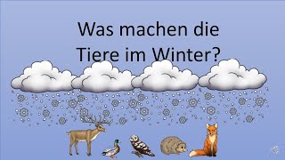 Tiere im Winter [upl. by Alake]