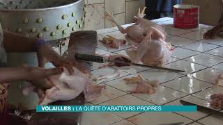 Ecoplus  Volaille la quête dabattoirs propres [upl. by Beesley]