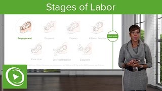 Stages of Labor Stages 1 2 amp 3 of Normal Labor – Obstetrics  Lecturio [upl. by Nash]