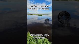 Increíble recuperación del Lago de Texcoco mexicomaravilloso [upl. by Rehpotsyrhc]