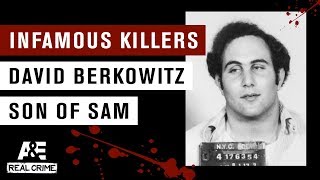 Infamous Killers David Berkowitz the Son of Sam  AampE [upl. by Nellie831]