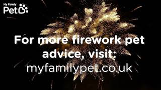 Firework noises Sound Therapy  My Family Vets [upl. by Acinor]