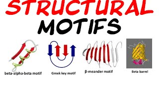 Structural motifs of protein [upl. by Chapnick]