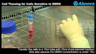 Cell Thawing for Cells Sensitive to DMSO [upl. by Marshall383]