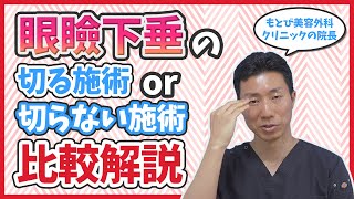 【眼瞼下垂】切らない眼瞼下垂と切る眼瞼下垂手術のメリット・デメリットを比較解説 [upl. by Ahseetal601]