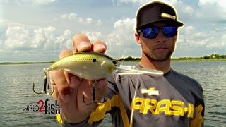 7 MustKnow Deep Diving Crankbait Tips for Big Bass [upl. by Lajes989]