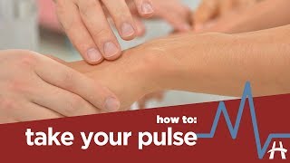 How to take your pulse [upl. by Shana]