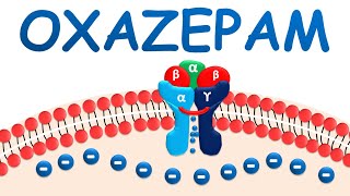 Oxazepam  Mechanism precautions side effects amp uses [upl. by Nozicka]